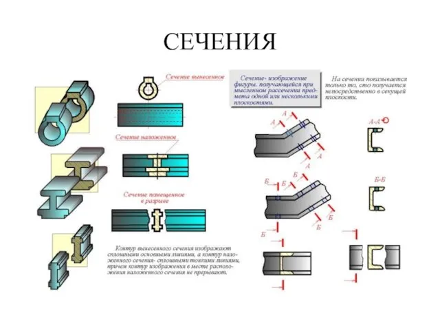 СЕЧЕHИЯ