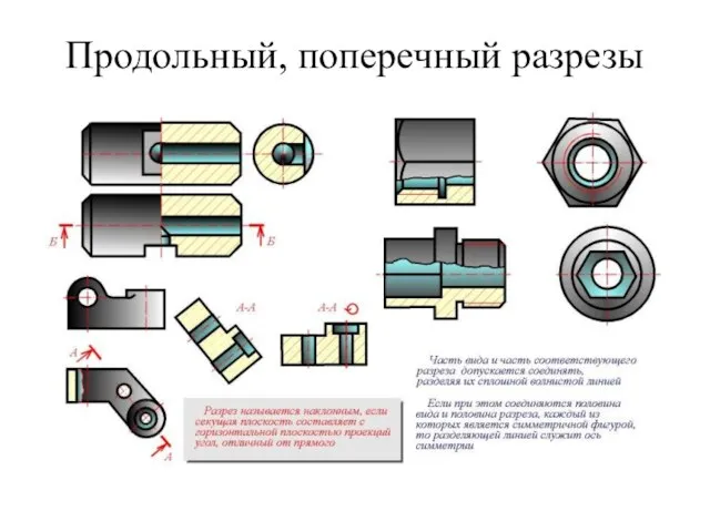 Продольный, поперечный разрезы