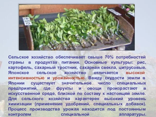 Сельское хозяйство обеспечивает свыше 70% потребностей страны в продуктах питания. Основные