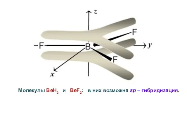 Молекулы BeH2 и BeF2: в них возможна sp – гибридизация.