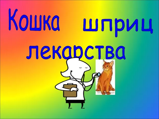 Кошка шприц лекарства