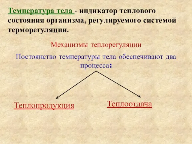 Механизмы теплорегуляции Постоянство температуры тела обеспечивают два процесса: Температура тела -