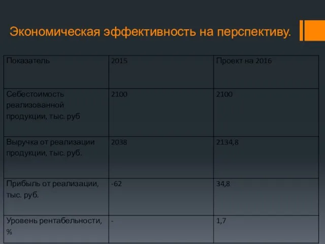 Экономическая эффективность на перспективу.