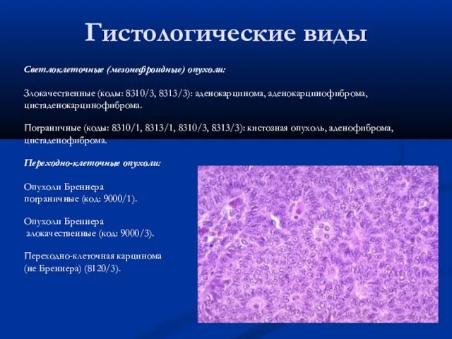 Гистологические виды Светлоклеточные (мезонефроидные) опухоли: Злокачественные (коды: 8310/3, 8313/3): аденокарцинома, аденокарцинофиброма,