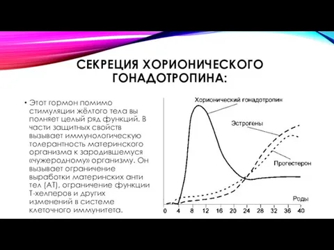 СЕКРЕЦИЯ ХОРИОНИЧЕСКОГО ГОНАДОТРОПИНА: Этот гормон помимо стимуляции жёлтого тела вы­полняет целый