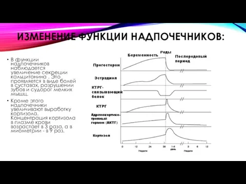 ИЗМЕНЕНИЕ ФУНКЦИИ НАДПОЧЕЧНИКОВ: В функции надпочечников наблюдается увеличение секреции кальцитонина .