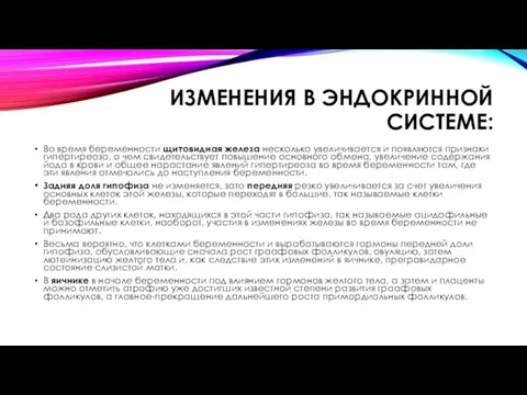 ИЗМЕНЕНИЯ В ЭНДОКРИННОЙ СИСТЕМЕ: Во время беременности щитовидная железа несколько увеличивается