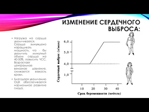 ИЗМЕНЕНИЕ СЕРДЕЧНОГО ВЫБРОСА: Нагрузка на сердце увеличивается. Сердце вынуждено наращивать мощность,