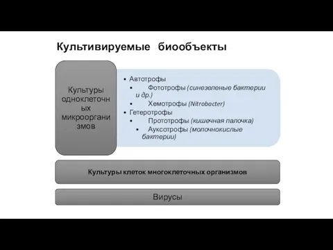 Культивируемые биообъекты