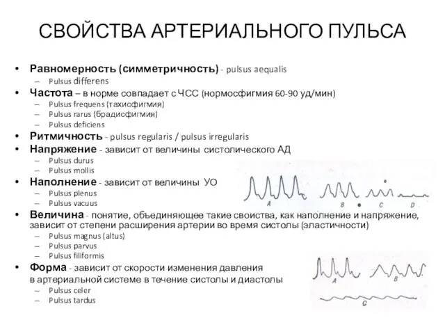 СВОЙСТВА АРТЕРИАЛЬНОГО ПУЛЬСА Равномерность (симметричность) - pulsus aequalis Pulsus differens Частота