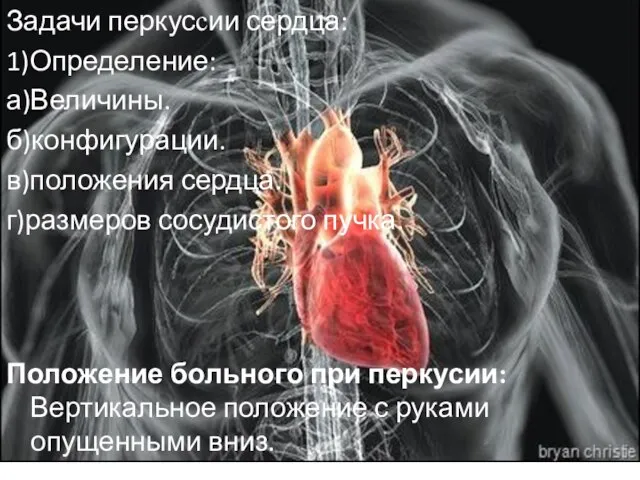 Задачи перкуссии сердца: 1)Определение: а)Величины. б)конфигурации. в)положения сердца. г)размеров сосудистого пучка.