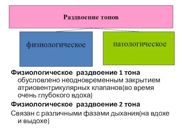 Физиологическое раздвоение 1 тона обусловлено неодновременным закрытием атриовентрикулярных клапанов(во время очень