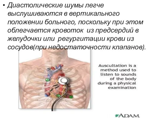 Диастолические шумы легче выслушиваются в вертикального положении больного, поскольку при этом