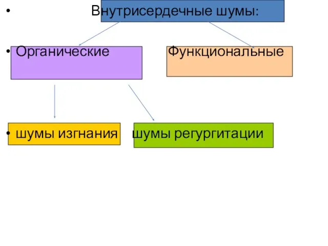 Внутрисердечные шумы: Органические Функциональные шумы изгнания шумы регургитации