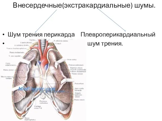 Внесердечные(экстракардиальные) шумы. Шум трения перикарда Плевроперикардиальный шум трения.