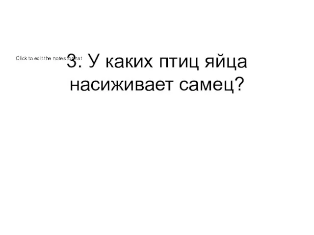 3. У каких птиц яйца насиживает самец?