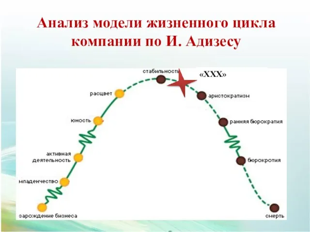 Анализ модели жизненного цикла компании по И. Адизесу