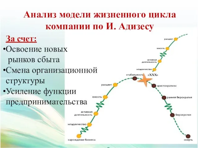 Анализ модели жизненного цикла компании по И. Адизесу За счет: Освоение