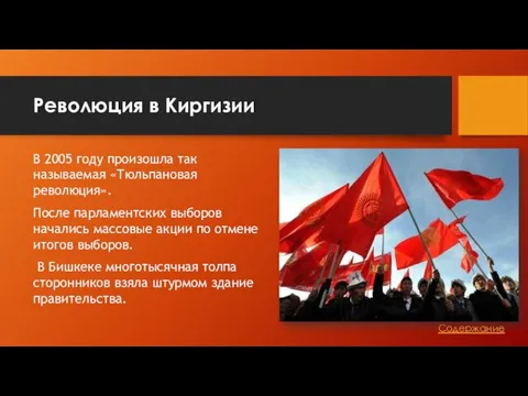 Революция в Киргизии В 2005 году произошла так называемая «Тюльпановая революция».