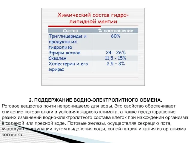 2. ПОДДЕРЖАНИЕ ВОДНО-ЭЛЕКТРОЛИТНОГО ОБМЕНА. Роговое вещество почти непроницаемо для воды. Это