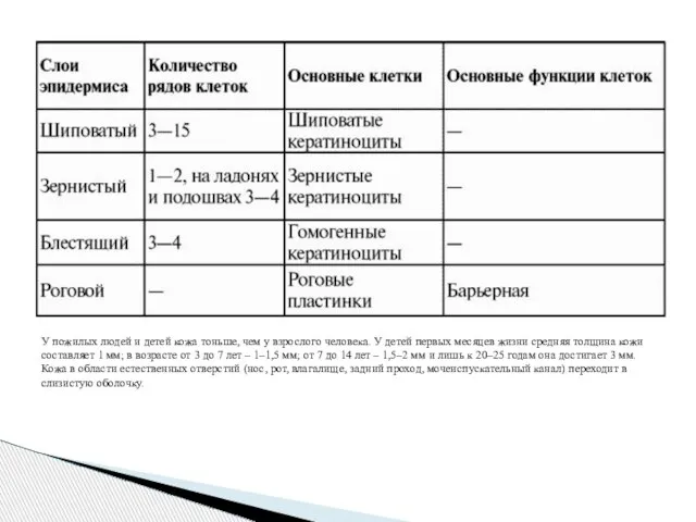 У пожилых людей и детей кожа тоньше, чем у взрослого человека.