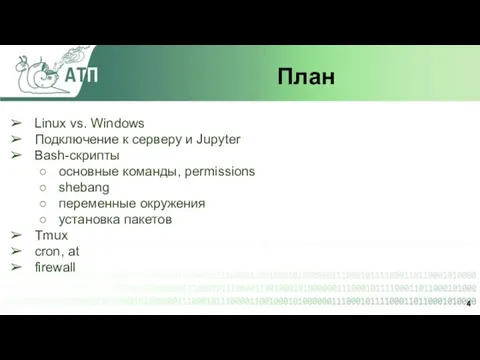 План Linux vs. Windows Подключение к серверу и Jupyter Bash-скрипты основные