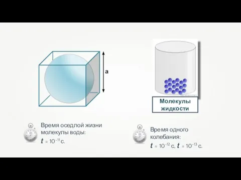 а Das steinerne Herz Молекулы жидкости Время оседлой жизни молекулы воды: