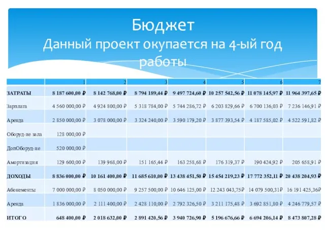 Бюджет Данный проект окупается на 4-ый год работы