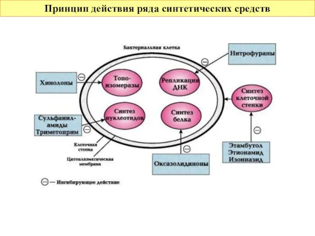 Принцип действия ряда синтетических средств