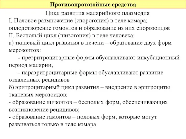 Противопротозойные средства Цикл развития малярийного плазмодия I. Половое размножение (спорогония) в