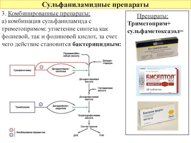 Сульфаниламидные препараты 3. Комбинированные препараты: а) комбинация сульфаниламида с триметопримом: угнетение