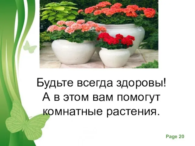Будьте всегда здоровы! А в этом вам помогут комнатные растения.