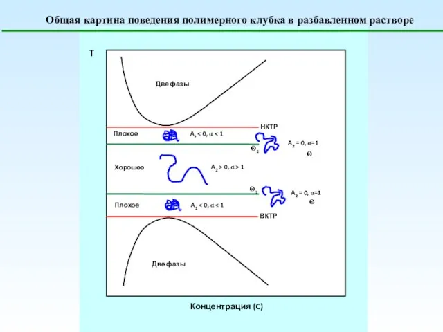 Общая картина поведения полимерного клубка в разбавленном растворе