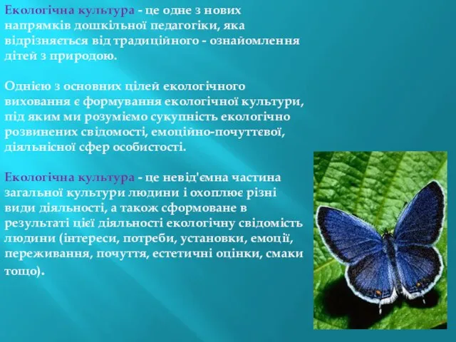 Екологічна культура - це одне з нових напрямків дошкільної педагогіки, яка