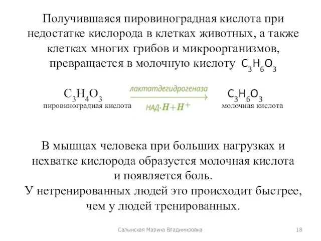 Получившаяся пировиноградная кислота при недостатке кислорода в клетках животных, а также