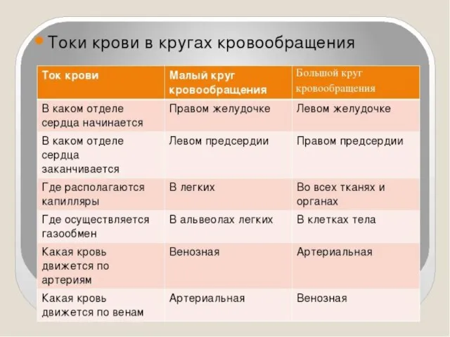 Образовательный портал Мой университет - www.moi-univtrsitet.ru факультет "Реформа образования" - www.edu-reforma.ru