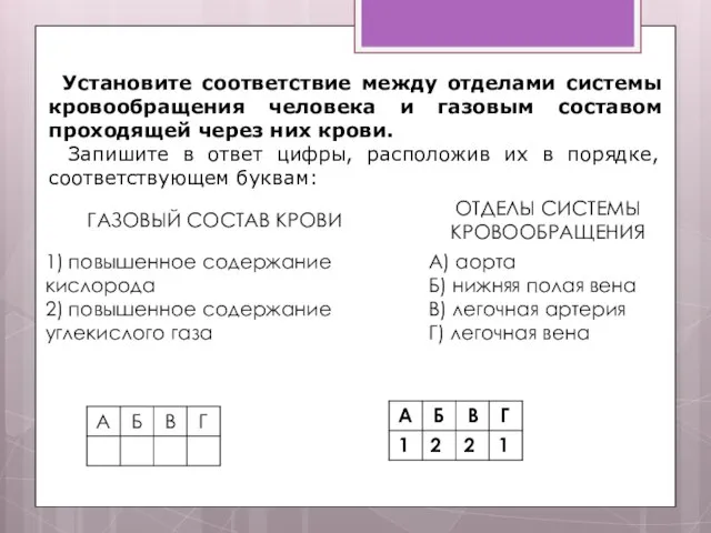 Установите соответствие между отделами системы кровообращения человека и газовым составом проходящей