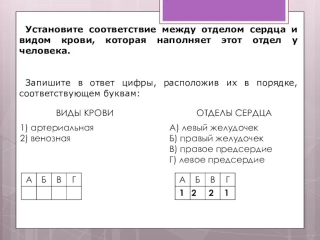 Установите соответствие между отделом сердца и видом крови, которая наполняет этот