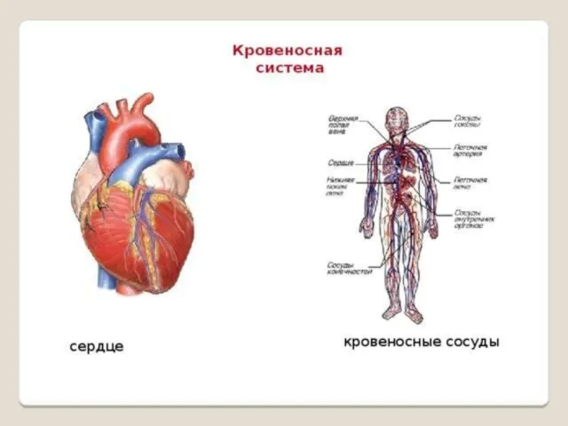 Образовательный портал Мой университет - www.moi-univtrsitet.ru факультет "Реформа образования" - www.edu-reforma.ru