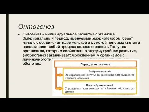 Онтогенез Онтогенез – индивидуальное развитие организма. Эмбриональный период, именуемый эмбриогенезом, берёт