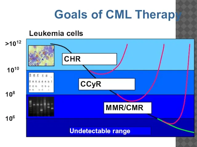 1010 >1012 106 108 Leukemia cells CCyR MMR/CMR Undetectable range CHR Goals of CML Therapy