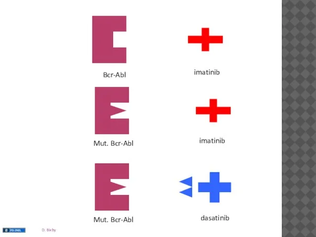 Bcr-Abl imatinib imatinib dasatinib
