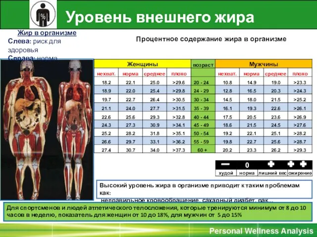 Жир в организме Слева: риск для здоровья Справа: норма Высокий уровень