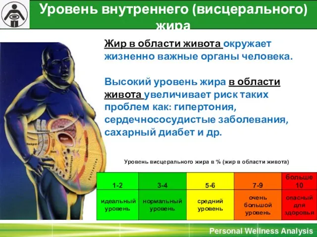 Уровень внутреннего (висцерального) жира (жир в области живота ) Жир в