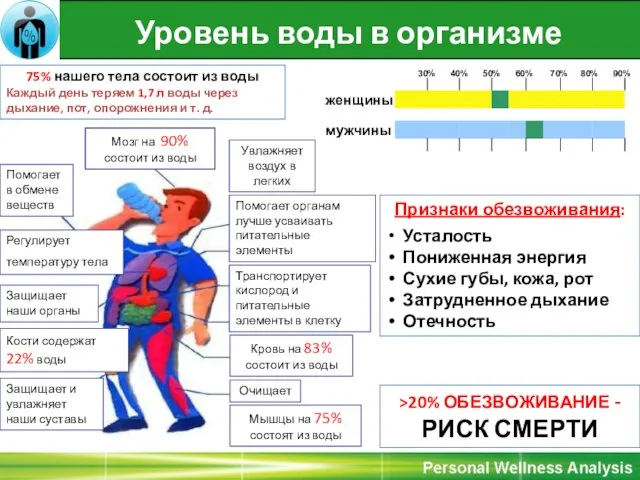 Мозг на 90% состоит из воды Транспортирует кислород и питательные элементы