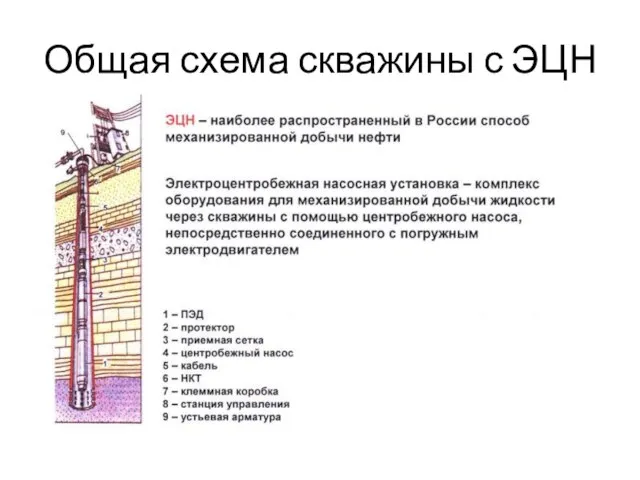 Общая схема скважины с ЭЦН