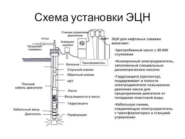 Схема установки ЭЦН