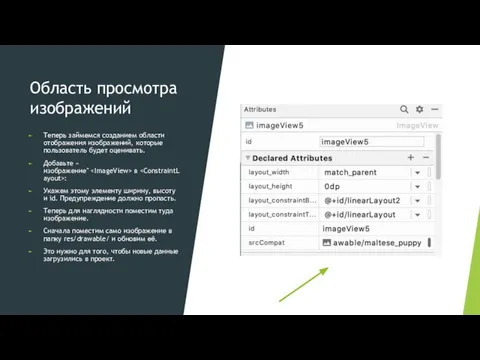 Область просмотра изображений Теперь займемся созданием области отображения изображений, которые пользователь