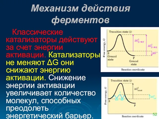 Механизм действия ферментов Классические катализаторы действуют за счет энергии активации. Катализаторы