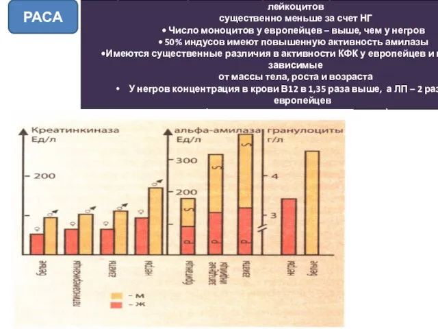 По сравнению с европейцами у чернокожих американцев обоего пола содержание лейкоцитов